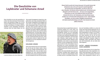 Zdjęcie produktu dla Schamanisches Urwissen unserer europäischen Ahnen