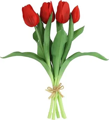 Zdjęcie produktu dla Bukiet tulipanów Countryfield – tulipany – ciemnoczerwone – 30 cm