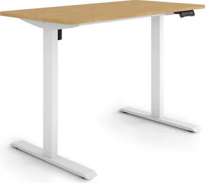 Produktbild von ESMART Germany ETX-121WBA 120 x 60 cm Bambus Nachbildung Ergonomischer Steh-Sitz-Schreibtisch Stufenlos elektrisch höhenverstellbar 73,5 - 123,5 cm 3x Memory Aktivitätserinnerung Soft-Start/Stopp Schnelle Montage