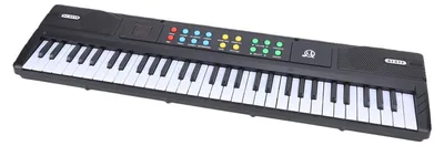 Obrázek produktu pro Digitální klavír s 61 klávesami, 200 tóny, 200 rytmů, mikrofonem, metronomem a výukovým režimem – přenosný digitální klavír pro začátečníky k domácímu cvičení