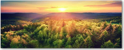 Produktbild von Tulup® Leinwandbild - 125x50 cm - Wandkunst - Drucke auf Leinwand - Leinwanddruck  - Landschaften - Gelb - Wald Sonnenuntergang