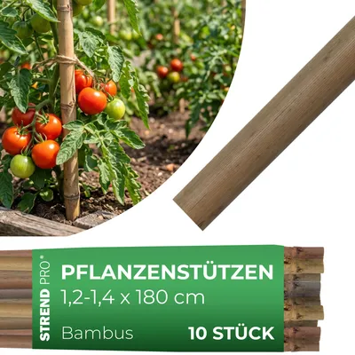 Produktbild von Stab Garden KBT 1800/12-14 mm, Pack. 10 Stk., Bambus, Stützstab für Pflanzen