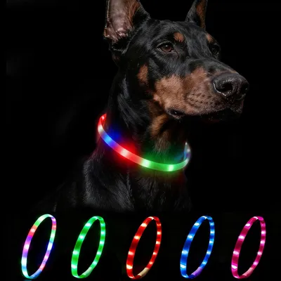 Produktbild von Leuchtender Halsband für Hunde – LED – USB-aufladbar – 70 cm – verstellbar – 4 Lichtmodi
