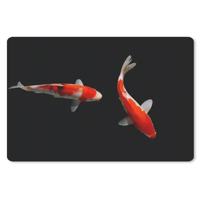 Produktbild von MuchoWow® Mauspad Mousepad Zwei bunte Koi-Karpfen auf schwarzem Hintergrund 27x18 cm - Mousepads - Maus Mat - Pad - Mausunterlage - Büroartikel - Desk Matten