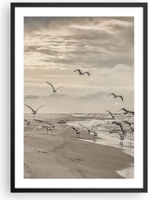 Produktbild von Gerahmtes Poster - Schwarzer Rahmen - Möwen Küste Boho - 50x70 cm - Wand Bild - Wanddeko - Wandbilder - Kunstposter - Wandposter - Bilderrahmen - Bilder - Kunstdruck - Wanddekoration - P2BPA50x70-4723