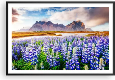 Produktbild von Gerahmtes Poster - Schwarzer Rahmen - Berge Wiese Blumen - 91,5x61 cm - Wand Bild - Wanddeko - Wandbilder - Kunstposter - Wandposter - Bilderrahmen - Bilder - Kunstdruck - Wandbild - P2BAA91x61-4114