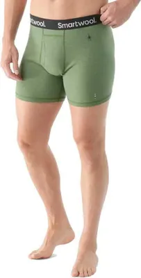 Zdjęcie produktu dla Smartwool Merino Brief Boxer Shorts Green M Man Green M
