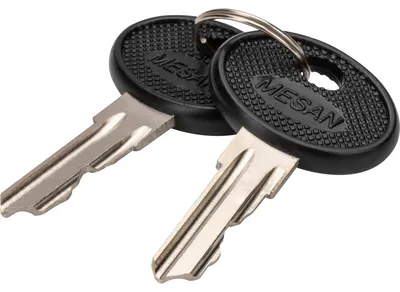 Immagine prodotto di Digitus DN-19-KEY-4444 Digitus Ersatzschlüssel Varioflex-N, Unique