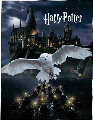 Produktbild von Harry Potter Kuscheldecke für Kinder 150x200cm · Motiv mit Hogwarts und Eule Hedwig in schwarz · extra flauschige Tagesdecke aus 100% Polyester