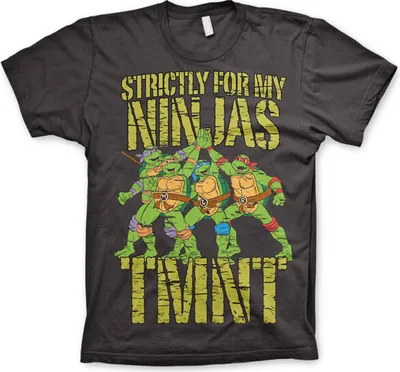 Produktbild von TMNT - Strictly For My Ninjas T-Shirt - Small - Dark-Grey