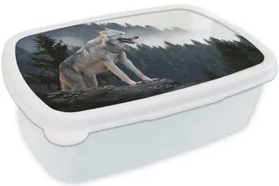 Produktbild von KitchenYeah® Lunchbox Brotzeit Brotdose 17x11 cm Wolf - Tier - Wald Kinder Brotzeitdose - Lunch Box - Kinder - Sandwich-Box - Schulbox - Lunch Boxen