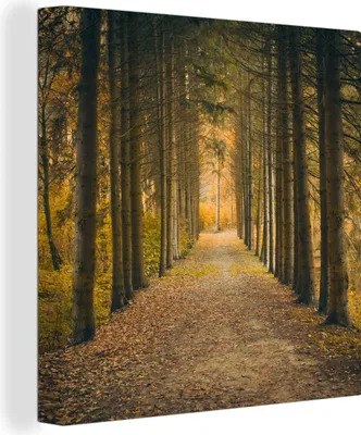 Produktbild von MuchoWow® - Leinwandbilder - Pfad - Bäume - Wald, Wandbild, Wanddeko Bilder Wohnzimmer, 50x50 cm