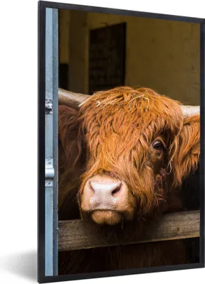 Produktbild von MuchoWow® Gerahmtes Poster Schottischer Highlander - Bauernhaus - Scheune 60x90 cm - Poster mit Schwarzem Bilderrahmen Wandposter Rahmen Foto Bilder - Kunst