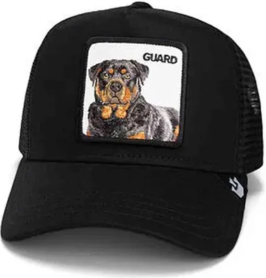 Produktbild von Goorin Bros Cap 101-1767-EBO in Black color size Talla unica