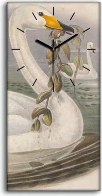 Produktbild von Wandbild Leinwand Bilder mit Uhr 30x60 Vögel Wild Tiere Zeichnung Kunst - schwarze Hände