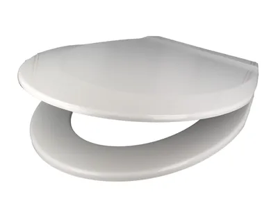 Produktbild von SANIT WC-Sitz 6000 Thermoplast ES-Scharniere, weiß - 56.014.01..0000