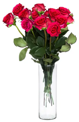 Produktbild von Cepewa Blumenvase Zylinder - klar transparent - Glas - 15 x 40 cm - mundgeblasenes Glas