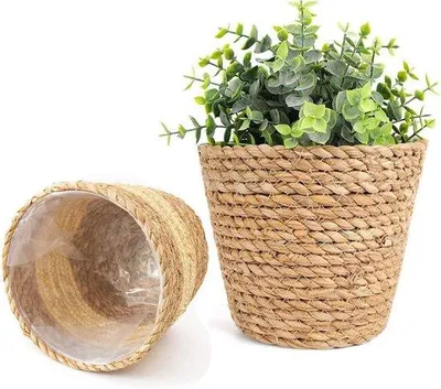 Image de Pots à fleurs en plastique, lot de deux jardinières de 18 cm pour l'intérieur et l'extérieur