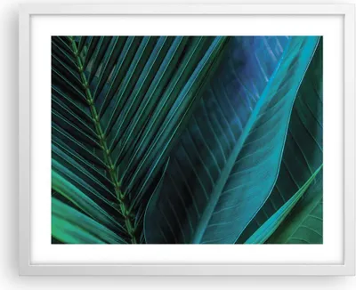 Produktbild von Gerahmtes Poster - Weißer Rahmen - Blatt Tropen Grün - 50x40 cm - Wand Bild - Wanddeko - Wandbilder - Kunstposter - Wandposter - Bilderrahmen - Bilder - Kunstdruck - Wanddekoration - P2WAA50x40-5071