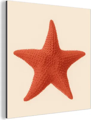 Produktbild von MuchoWow Wanddekoration Metall Metallbild Wandkunst 20x20 cm Seestern - Bobbles - Rot MuchoWow Aluminium Gemälde - Alu Dibond Bilder
