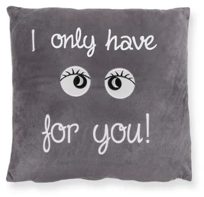 Produktbild von Nicki Kissen samt weich incl. Füllung 40x40 cm Kissenbezug in Grau mit Stickerei I only have eyes for you