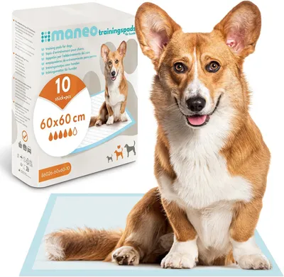 Produktbild von Welpen Trainingspads 60x60 cm, 5 Lagen, für Haustiere