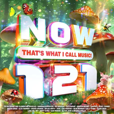 Obrázok produktu pre Various: Now Thats What I Call Music 121