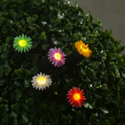 Produktbild von LED Solar Lichterkette Blumen - 5 Gartenstecker mit bunten Blümchen - L: 1,2m H: 17cm - Lichtsensor