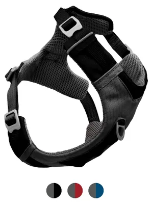 Produktbild von Hunde-Abenteuergeschirr, Schwarz, L