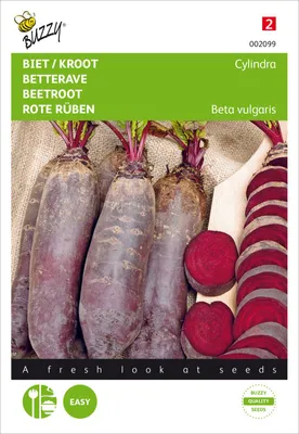 Produktbild von Rote Rüben Cylindra Halblange | Rote Beetesamen von Buzzy Seeds