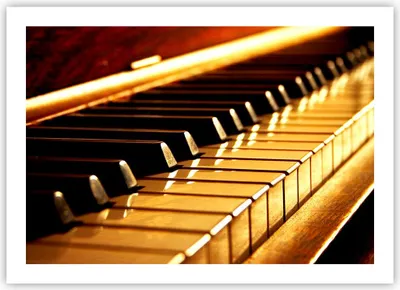 Produktbild von Poster - Poster ohne Rahmen - Klavier Musik Konzert - 70x50 cm - Wand Bild - Wanddeko - Wandbilder - Kunstposter - Wandposter - Bilder - Kunstdruck - Wanddekoration - Wandbild - P2XAA70x50-2200