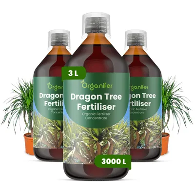 Obrázek produktu pro Dracéna Tekuté Hnojivo 3x1 L – 2-1-8 NPK – Pro Zelené Rostliny – Pro Zdravé Listy & Silný Růst – Podporuje Kořeny & Vitalitu – Organifer