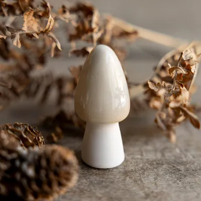 A small, beige mushroom figurine is placed on a textured surface, surrounded by dried leaves and pinecones.