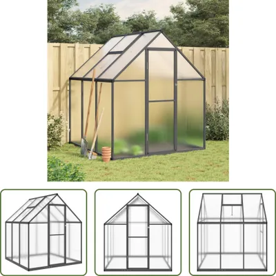 Image de The Living Store Serre avec cadre de fondation Anthracite 169x169x195 cm Alu