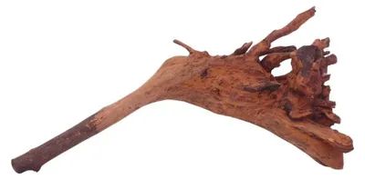 Produktbild von M Jungle Wood Wurzel Nr.4490 Holz Deko Aquascaping
