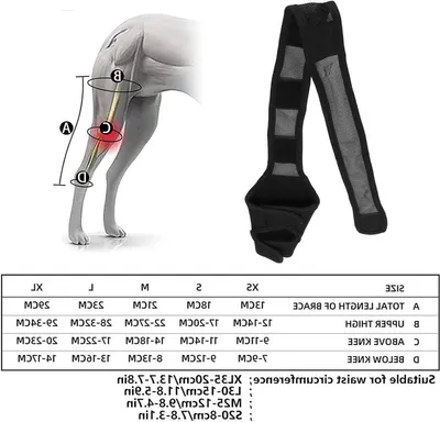 Ellbogenprotektor für Hunde, Unterstützung für Ellbogen und Schulter, Knieband bei Dysplasie und Arthritis, Bequemer Schutz