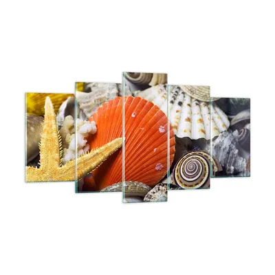 Produktbild von Bilder auf glas - Seashell Meer Strand Sand - 160x85cm - Glasbilder - Wandbilder - Kunstdruck - zum Aufhängen bereit - Wanddekoration aus Glas - Glas Bilder - Wandbild auf Glas - GEA160x85-0456