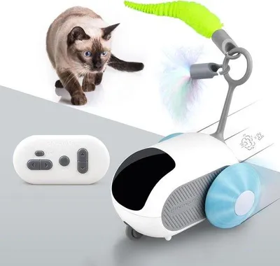 Produktbild von Interaktives Katzenspielzeug mit Fernbedienung - 2 Geschwindigkeiten - beweglich - für unterhaltsame Katzen