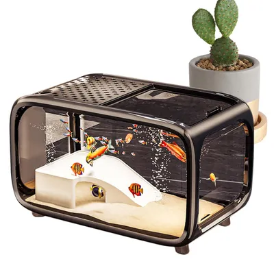Productafbeelding van Transparante Aquarium Landscape voor Betta
