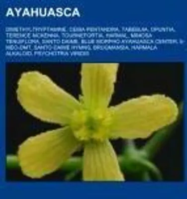 Produktbild von Ayahuasca