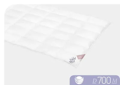 Produktbild von Schlafstil Bettdecke Daunendecke D 700 Medium 200 x 200 cm