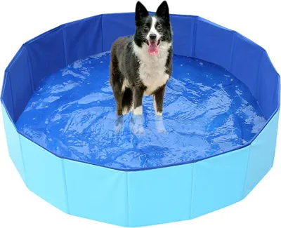 Produktbild von Hundepool - Noname - Faltbar - Rutschfest - PVC - Tragbar
