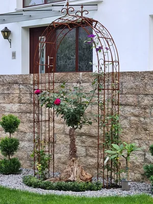 Produktbild von GardenAndPools Rosenbogen Paris Lilie Spitze B-1,60 m Rost Pergola Metallrosenbogen Gartenbogen Rosensäule Rose Arches Arco da Giardino