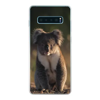 Produktbild von MuchoWow® Handyhülle Schutzhülle Hülle für Samsung Galaxy S10 Plus Koala - Sonne - Tier - Kinder - Jungen - Mädchen Silikon Softcase Handy Hülle - Schutzhülle