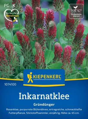 Produktbild von Kiepenkerl Inkarnatkleesamen Rosenklee Trifolium incarnatum 25 m²