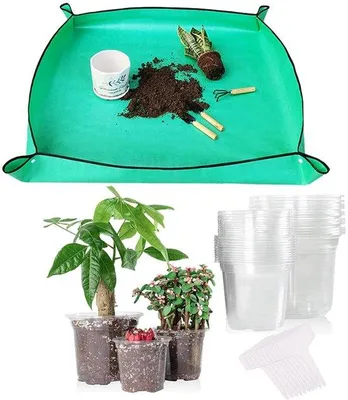 Productafbeelding van Unyqoos® Transparante PP-zaaipotten set met drainage en herbruikbare verplantmat – wortelcontrole voor zaailingen, kruiden en vetplanten