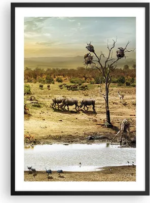 Produktbild von Gerahmtes Poster - Schwarzer Rahmen - Safari Tiere - 50x70 cm - Wand Bild - Wanddeko - Wandbilder - Kunstposter - Wandposter - Bilderrahmen - Bilder - Kunstdruck - Wandbild - P2BPA50x70-3880