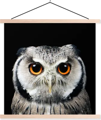 Produktbild von MuchoWow® Textilposter Nahaufnahme Eule 60x60 cm mit holzfarbenen Rahmen - Wanddekoration