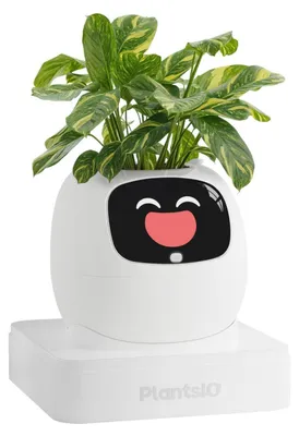 Productafbeelding van Slimme bloempot met app-bediening en automatische bewatering, wit