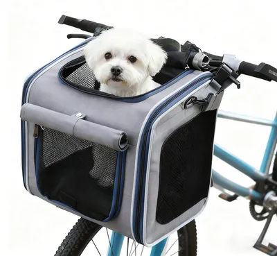 Fahrradkorb für Hunde, 4 Öffnungen, klappbar, bis 10 kg